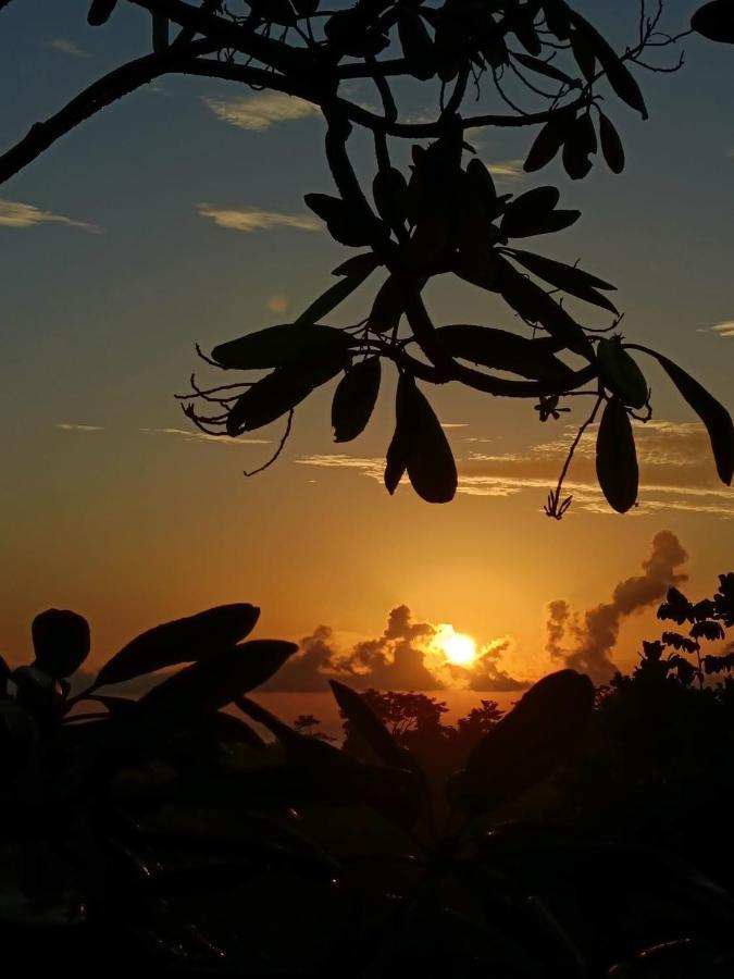 Finca Los Caballos Montezuma Zewnętrze zdjęcie